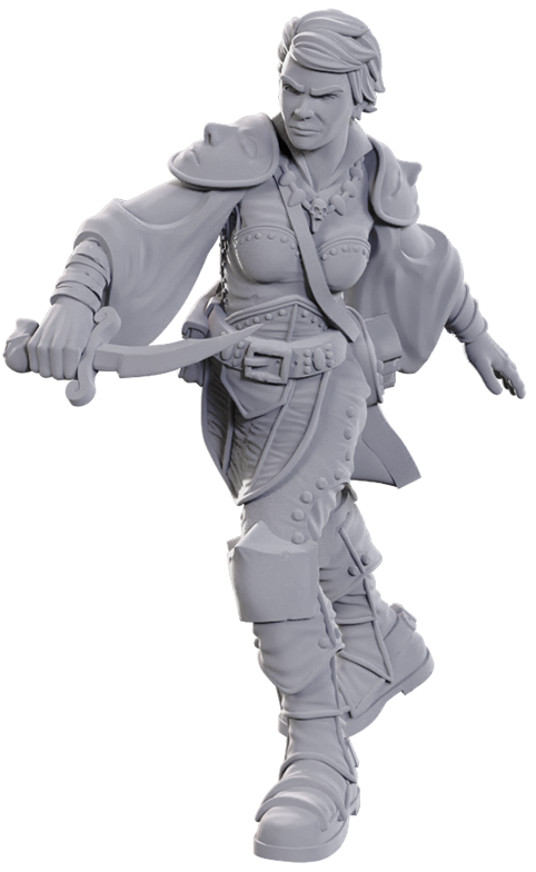 D&D Minis: Swashbuckler