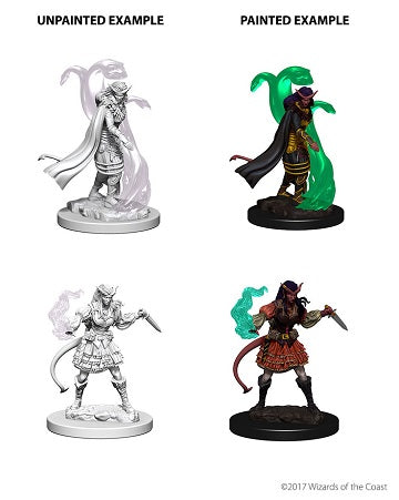 D&D Minis: Tiefling Sorcerer Female