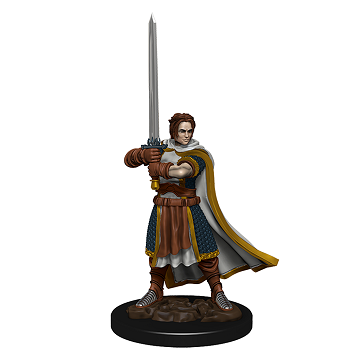 D&D Minis: Human Cleric Male - Painted