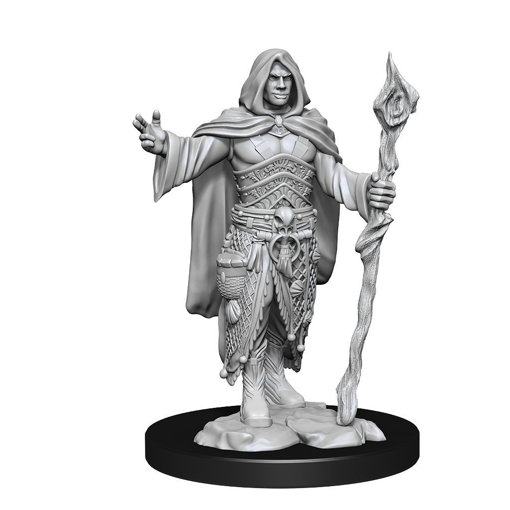 D&D Minis: Human Druid Male
