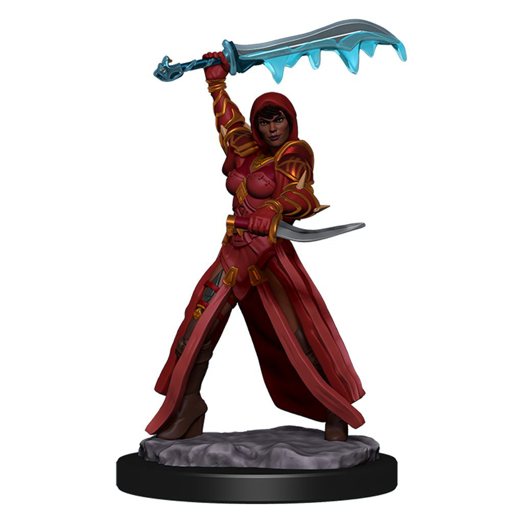 D&D Minis: Human Rogue Female - Painted