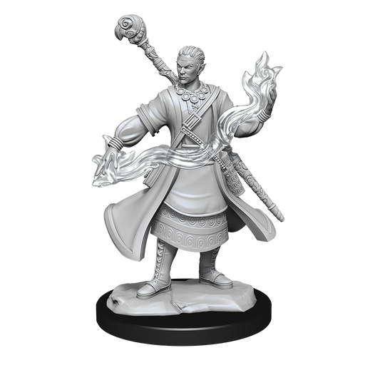 D&D Minis: Half-Elf Wizard Male