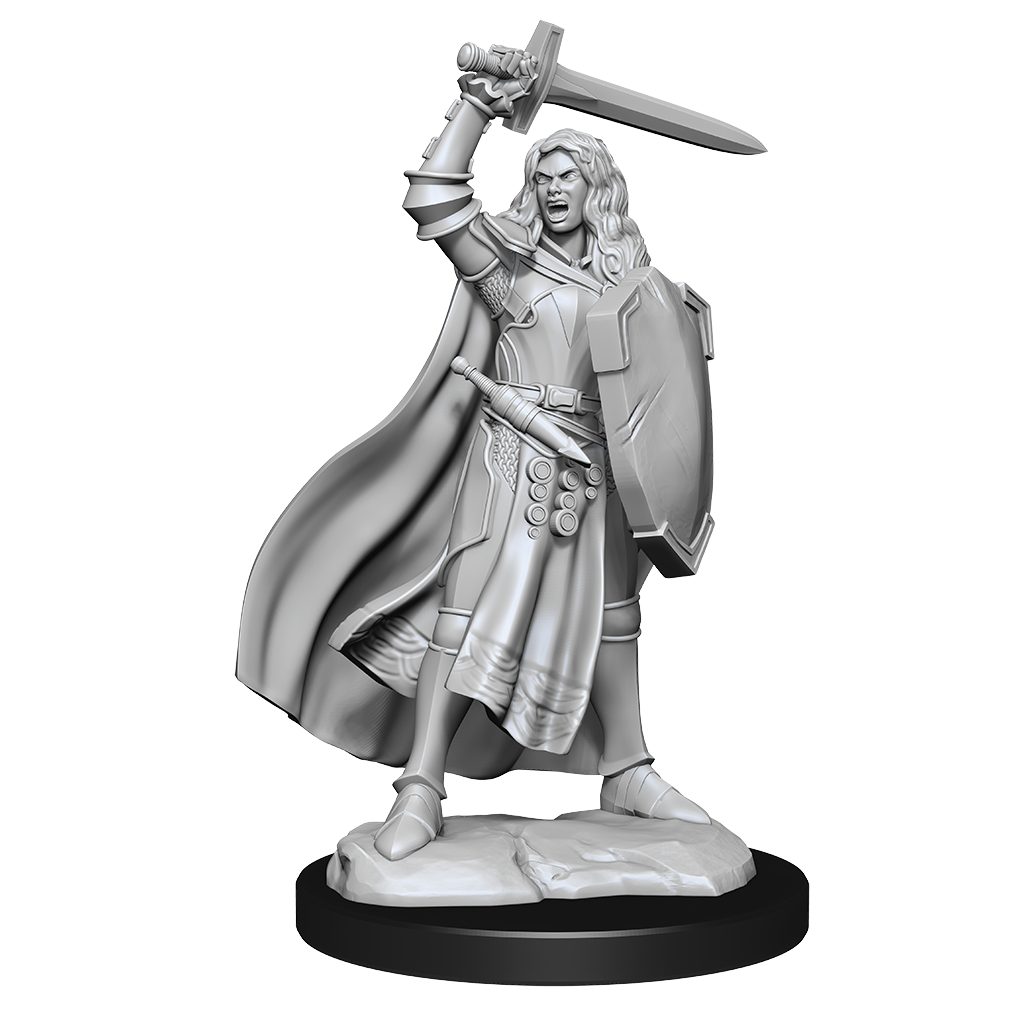 D&D Minis: Human Champion Female