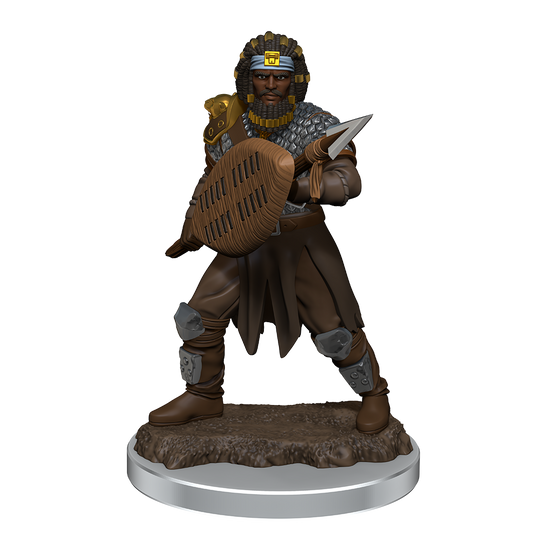 D&D Minis: Human Fighter Male - Painted