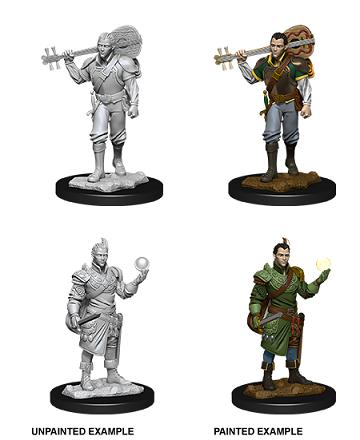 D&D Minis: Half-Elf Bard Male