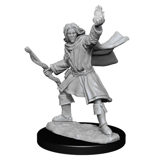 D&D Minis: Elf Sorcerer Male