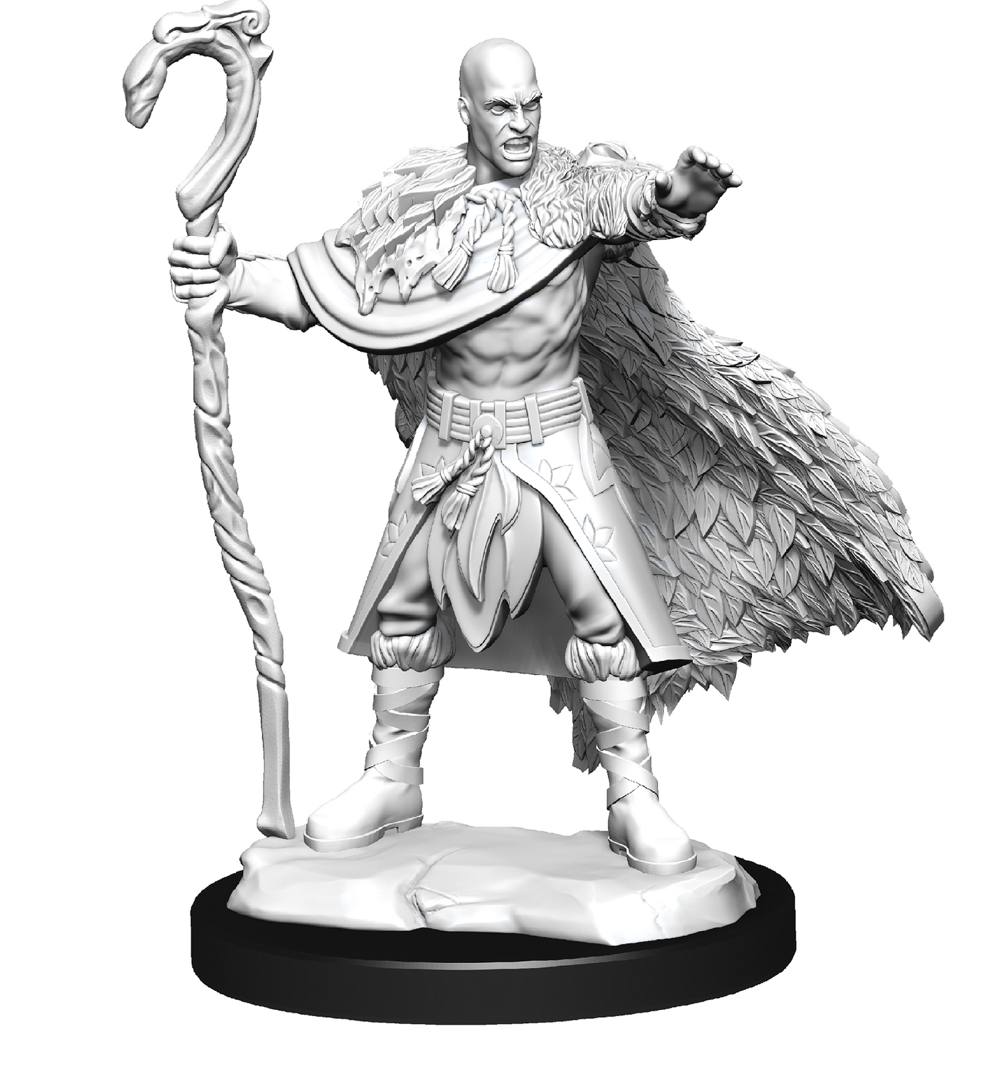 D&D Minis: Human Druid Male