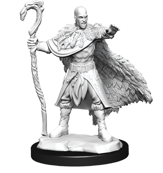 D&D Minis: Human Druid Male