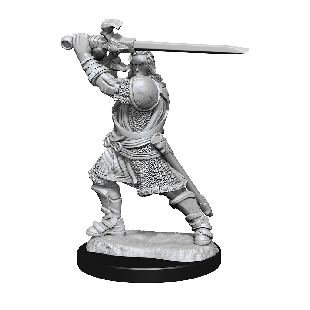 D&D Minis: Human Paladin Male