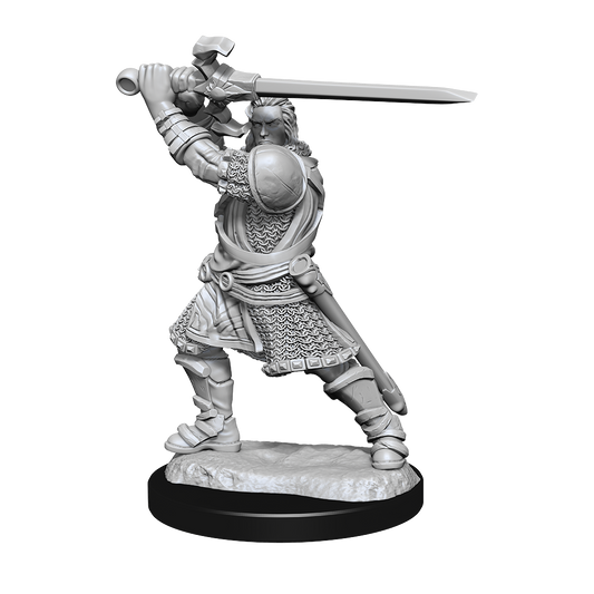 D&D Minis: Human Paladin Male