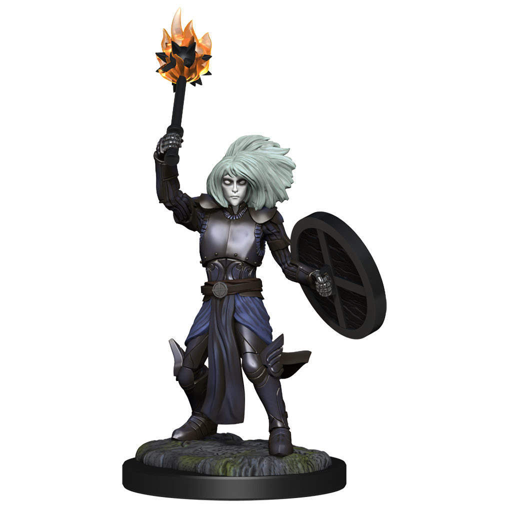 D&D Minis: Changeling Cleric Male