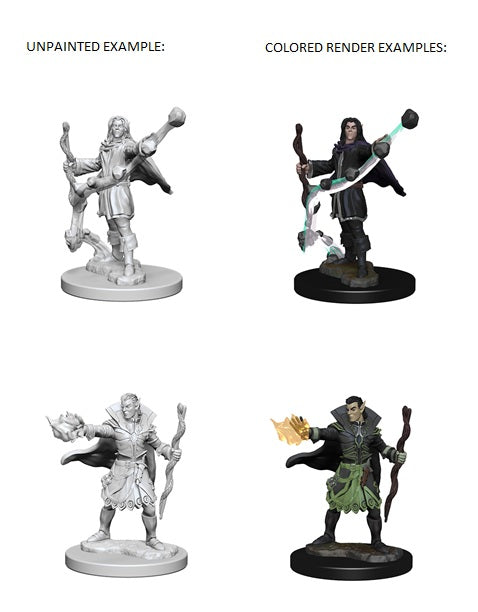 D&D Minis: PF Elf Sorcerer Male
