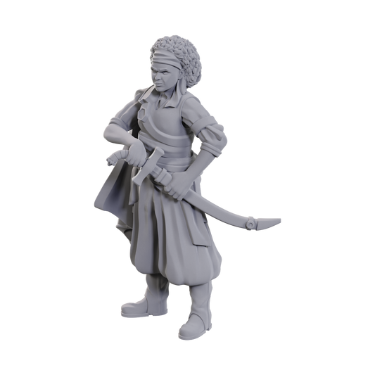 D&D Minis: Ansalon Human Rogue